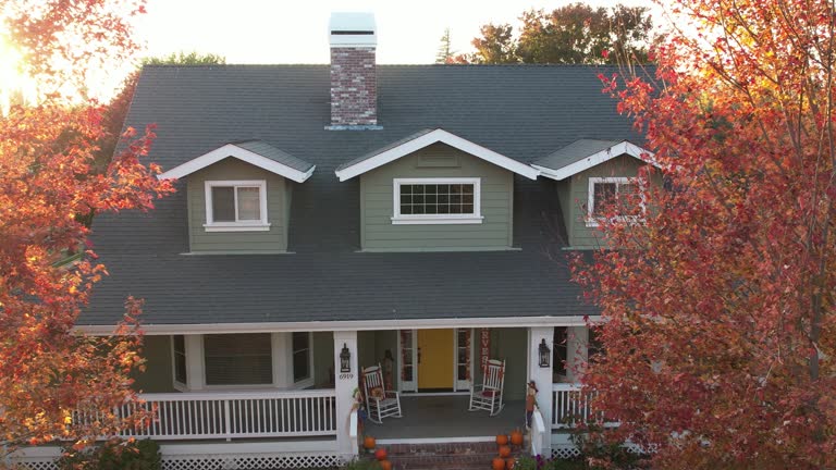 Best Roof Moss and Algae Removal  in Mec, CA